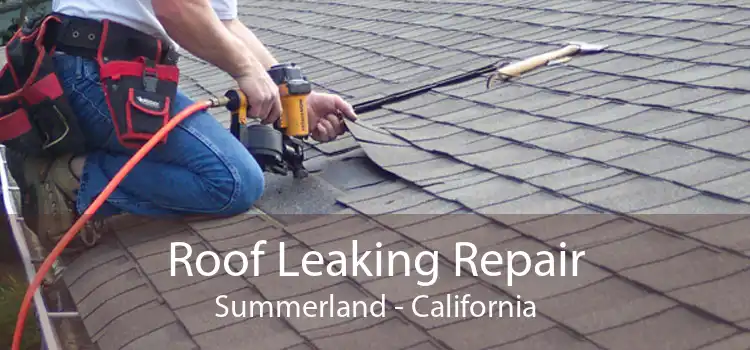 Roof Leaking Repair Summerland - California