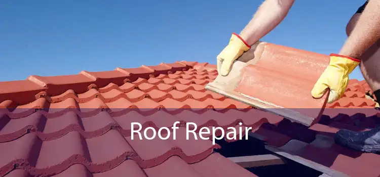 Roof Repair 