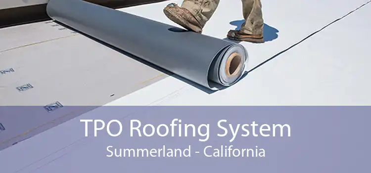 TPO Roofing System Summerland - California